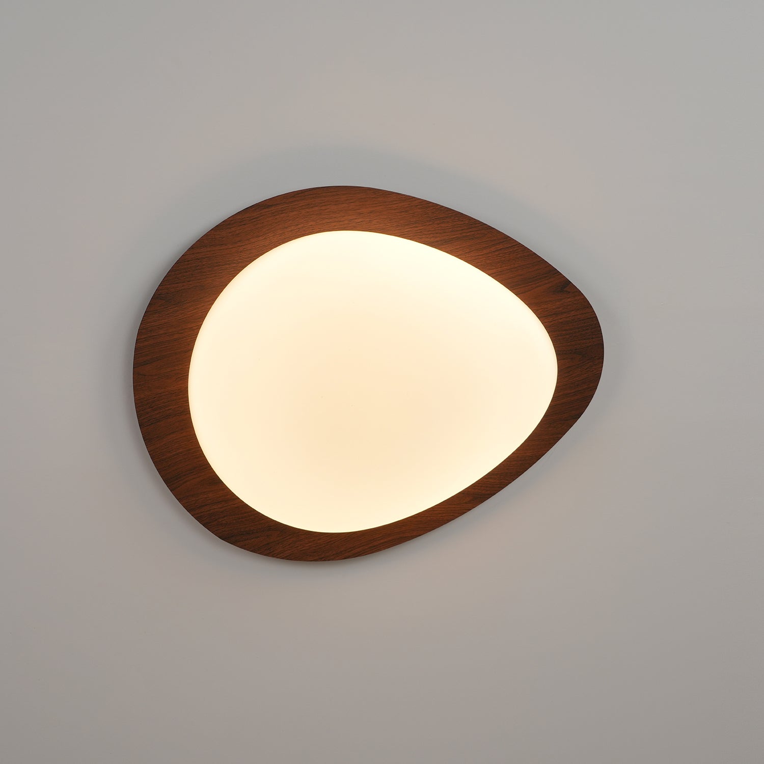 Contemporary Walnut Trim Flush Mount Ceiling Light | Diffused Illumination for Living Room 0