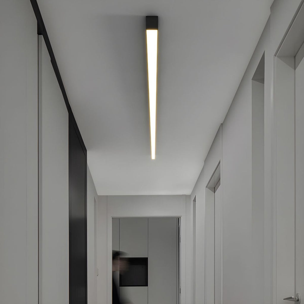 Minimalist Matte Metal Ceiling Light Fixture | Dimmable LED Neutral Light for Living Room 4