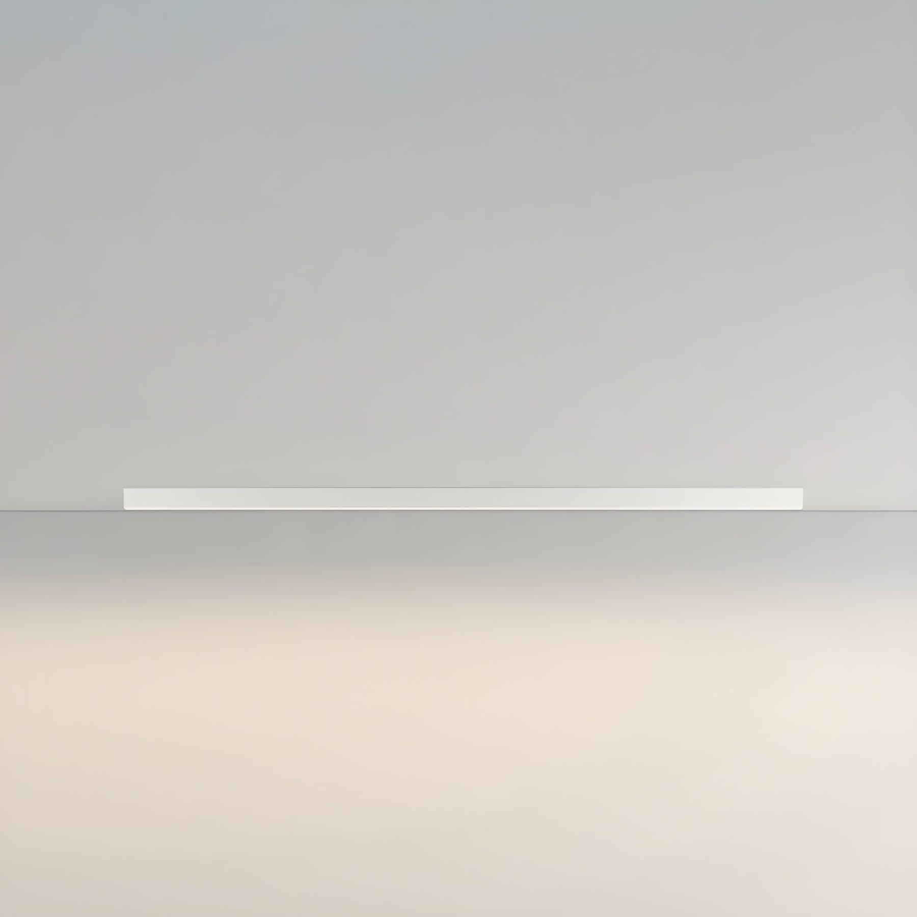 Minimalist Matte Metal Ceiling Light Fixture | Dimmable LED Neutral Light for Living Room 9