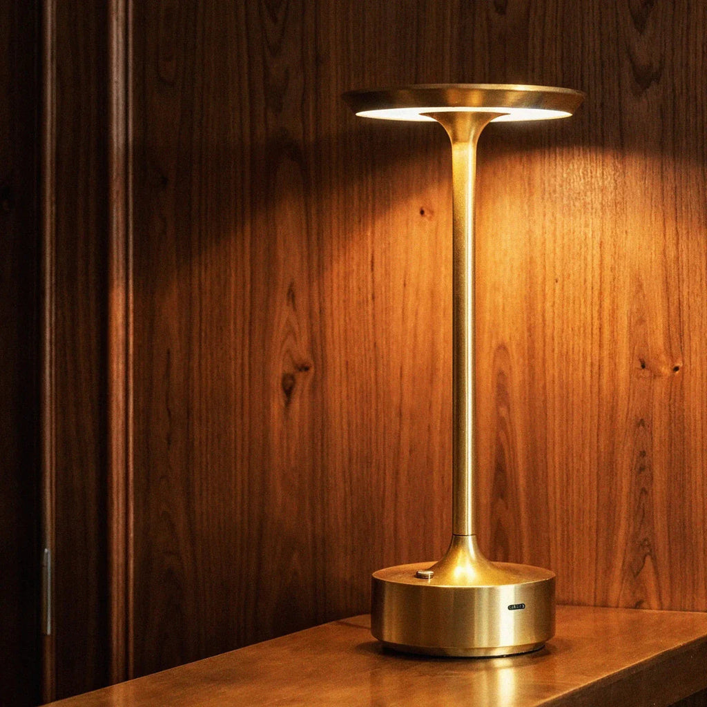 Modern Iron Art Table Lamp with Acrylic Shade | USB Charging 3 Colour Temperatures for Home Office 5