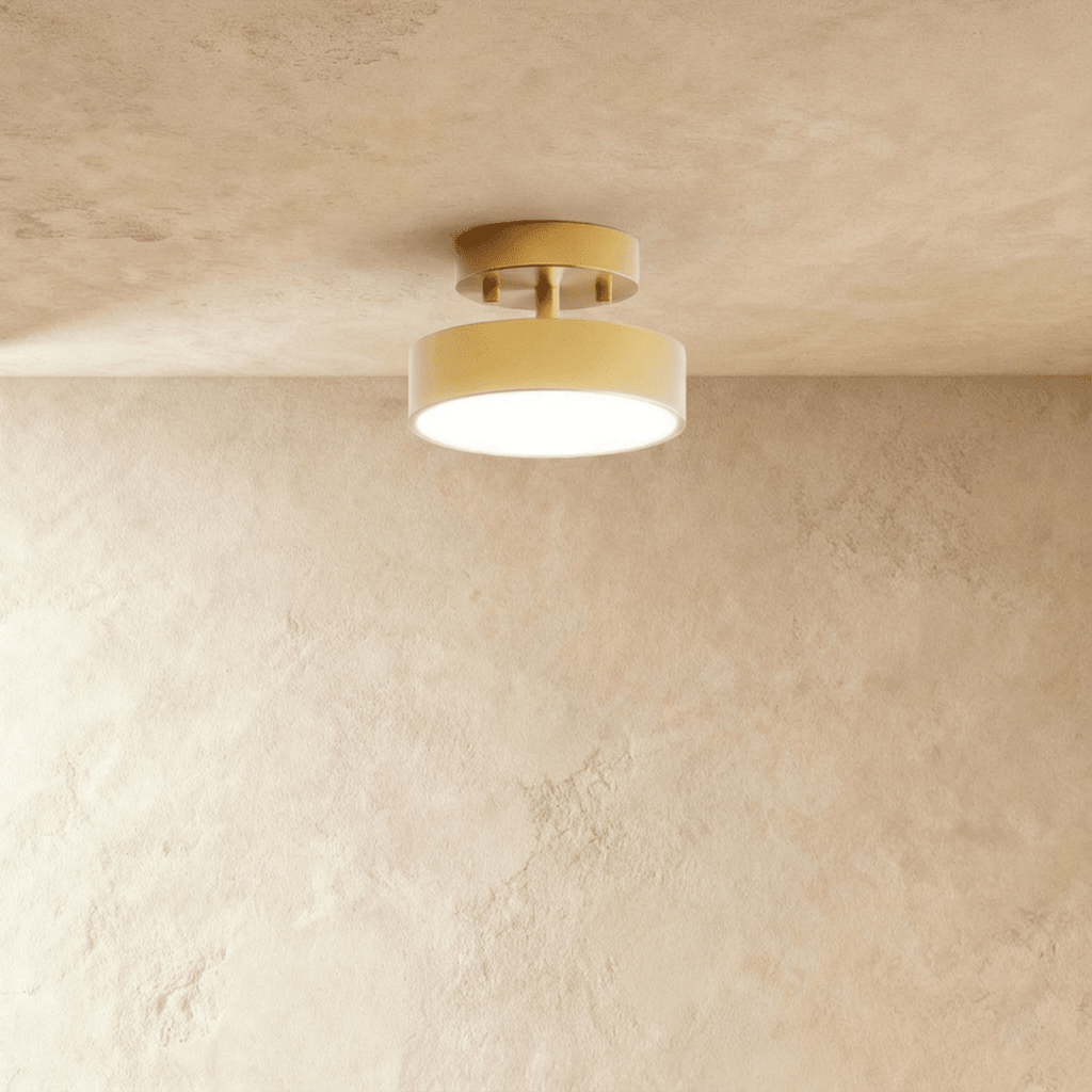 Modern Iron Flush Mount Ceiling Light | LED 3 Color Temperatures for Living Room 0