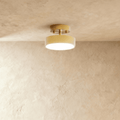 Modern Iron Flush Mount Ceiling Light | LED 3 Color Temperatures for Living Room 0