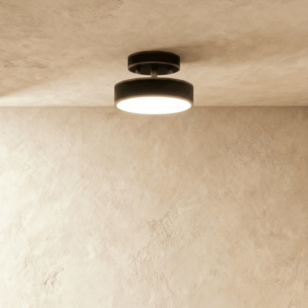 Modern Iron Flush Mount Ceiling Light | LED 3 Color Temperatures for Living Room 1