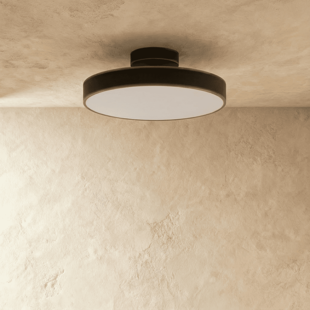 Modern Iron Flush Mount Ceiling Light | LED 3 Color Temperatures for Living Room 5