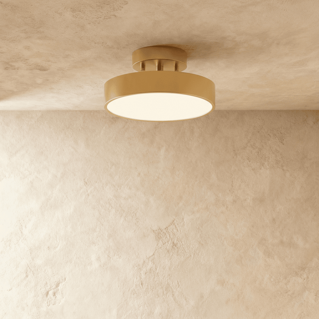 Modern Iron Flush Mount Ceiling Light | LED 3 Color Temperatures for Living Room 7