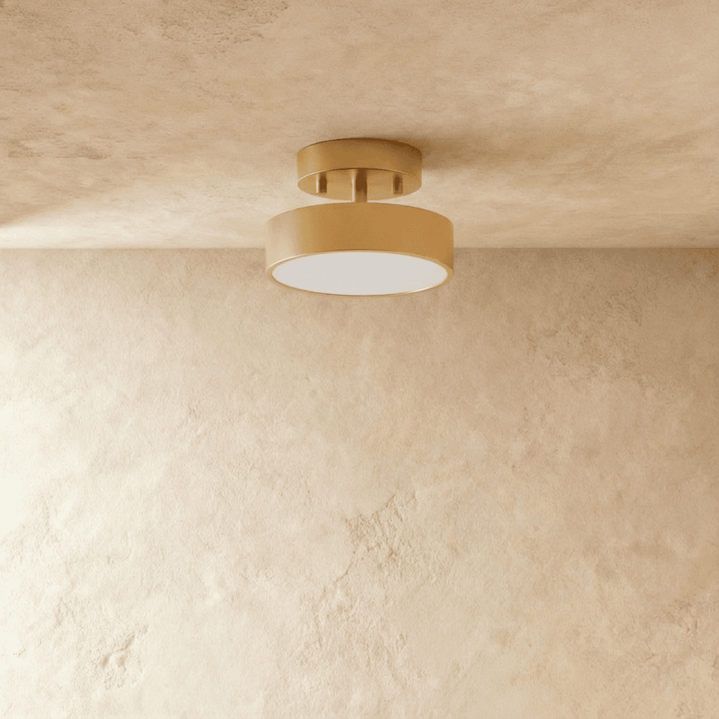 Modern Iron Flush Mount Ceiling Light | LED 3 Color Temperatures for Living Room 8