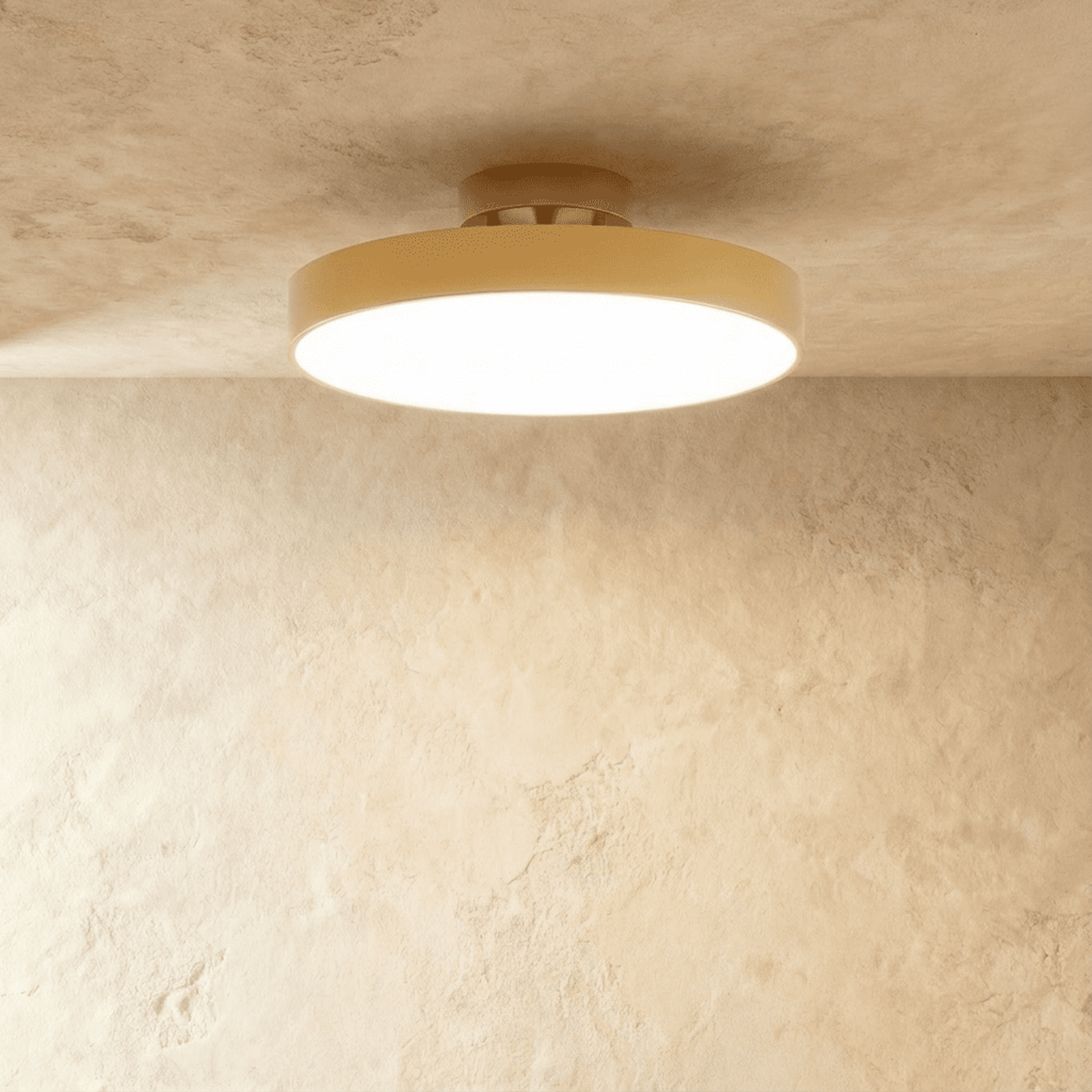 Modern Iron Flush Mount Ceiling Light | LED 3 Color Temperatures for Living Room 9