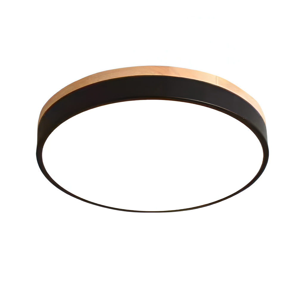 Modern Iron and Acrylic Flush Mount Ceiling Light | Integrated LED with Acrylic Diffuser for Hallway and Living Room 0