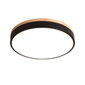 Modern Iron and Acrylic Flush Mount Ceiling Light | Integrated LED with Acrylic Diffuser for Hallway and Living Room 0