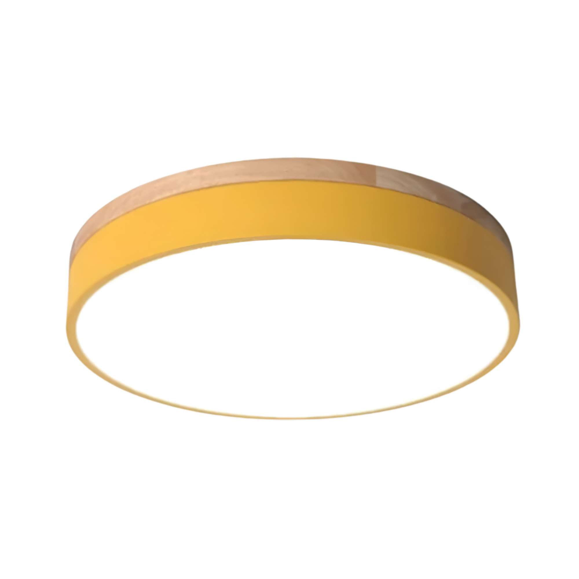 Modern Iron and Acrylic Flush Mount Ceiling Light | Integrated LED with Acrylic Diffuser for Hallway and Living Room 11