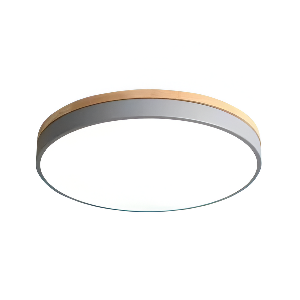 Modern Iron and Acrylic Flush Mount Ceiling Light | Integrated LED with Acrylic Diffuser for Hallway and Living Room 13