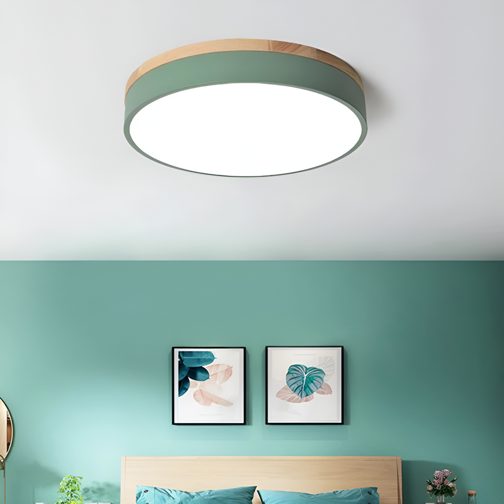 Modern Iron and Acrylic Flush Mount Ceiling Light | Integrated LED with Acrylic Diffuser for Hallway and Living Room 5