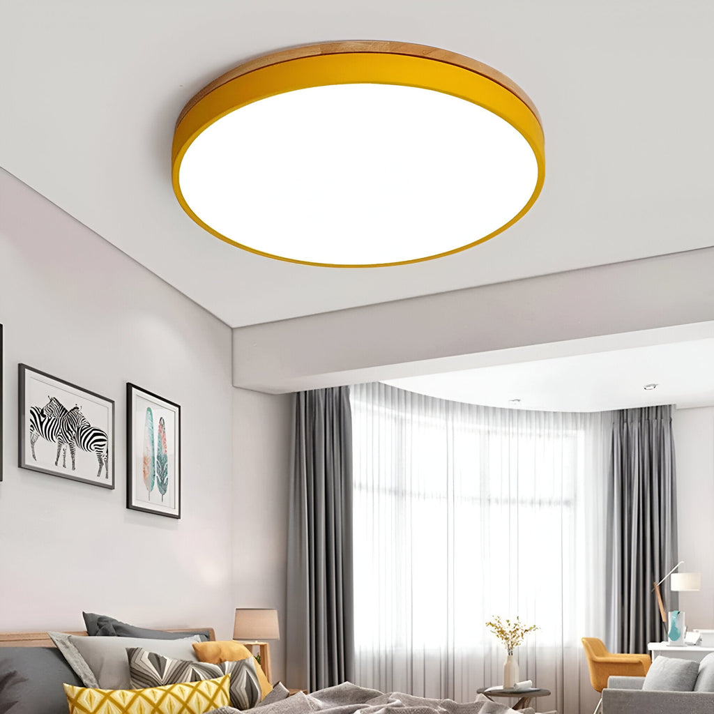 Modern Iron and Acrylic Flush Mount Ceiling Light | Integrated LED with Acrylic Diffuser for Hallway and Living Room 7
