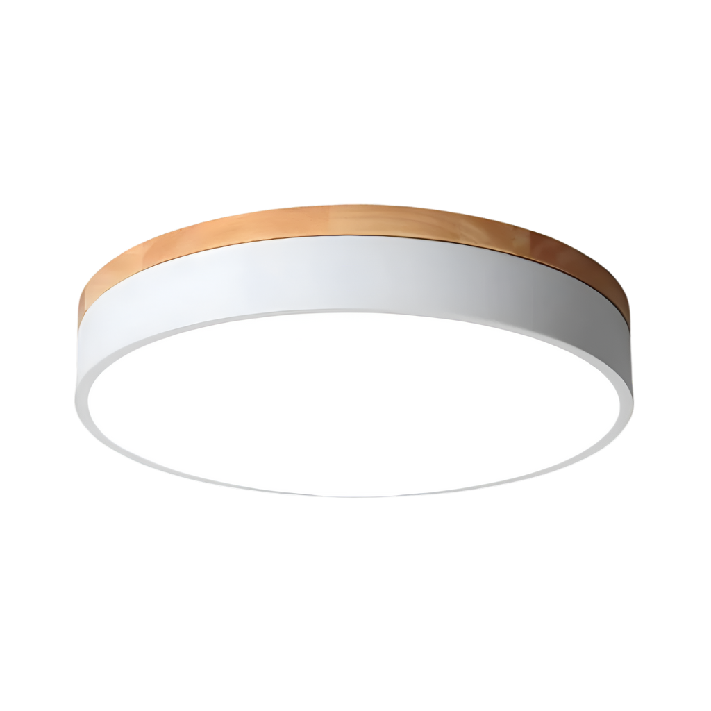 Modern Iron and Acrylic Flush Mount Ceiling Light | Integrated LED with Acrylic Diffuser for Hallway and Living Room 9