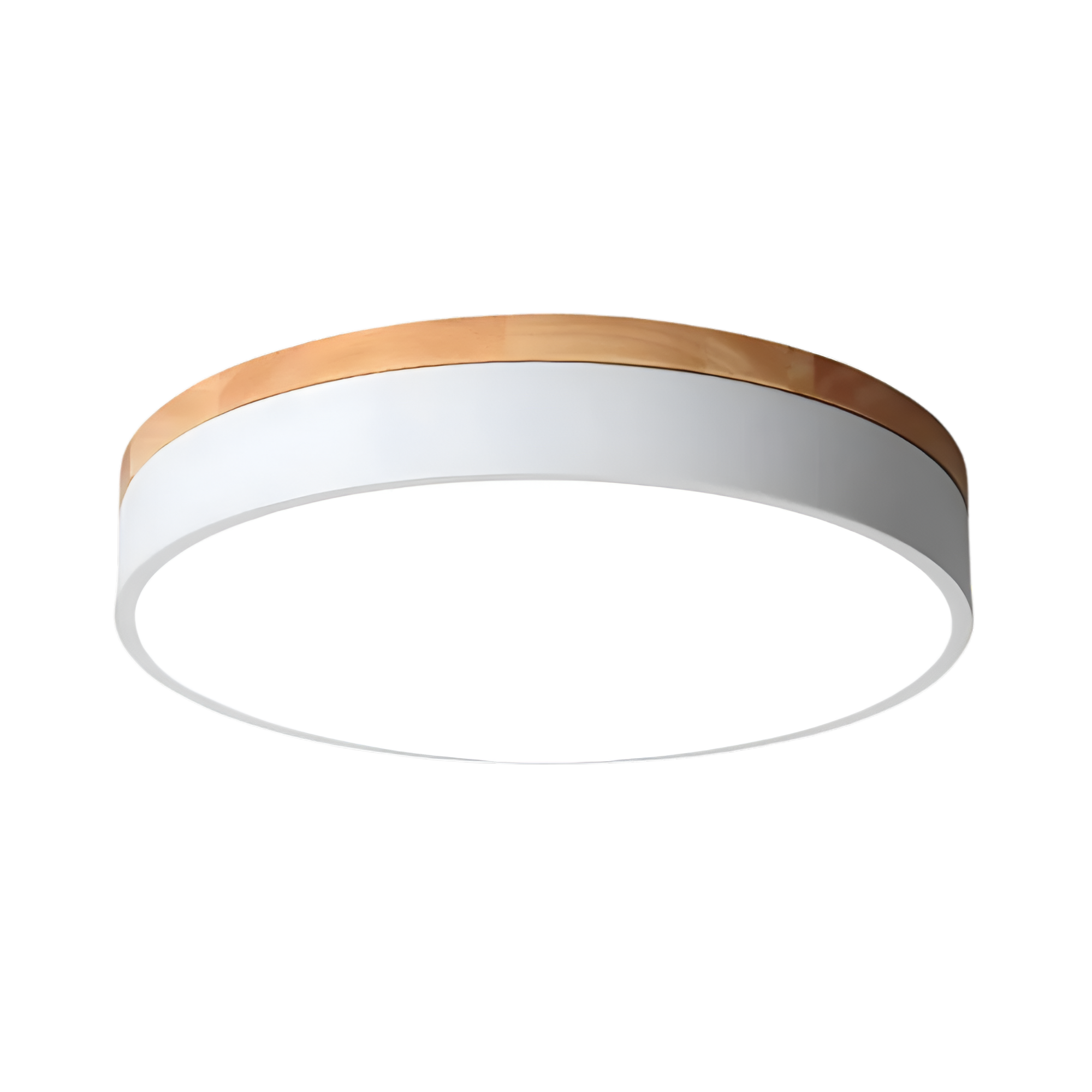 Modern Iron and Acrylic Flush Mount Ceiling Light | Integrated LED with Acrylic Diffuser for Hallway and Living Room 9