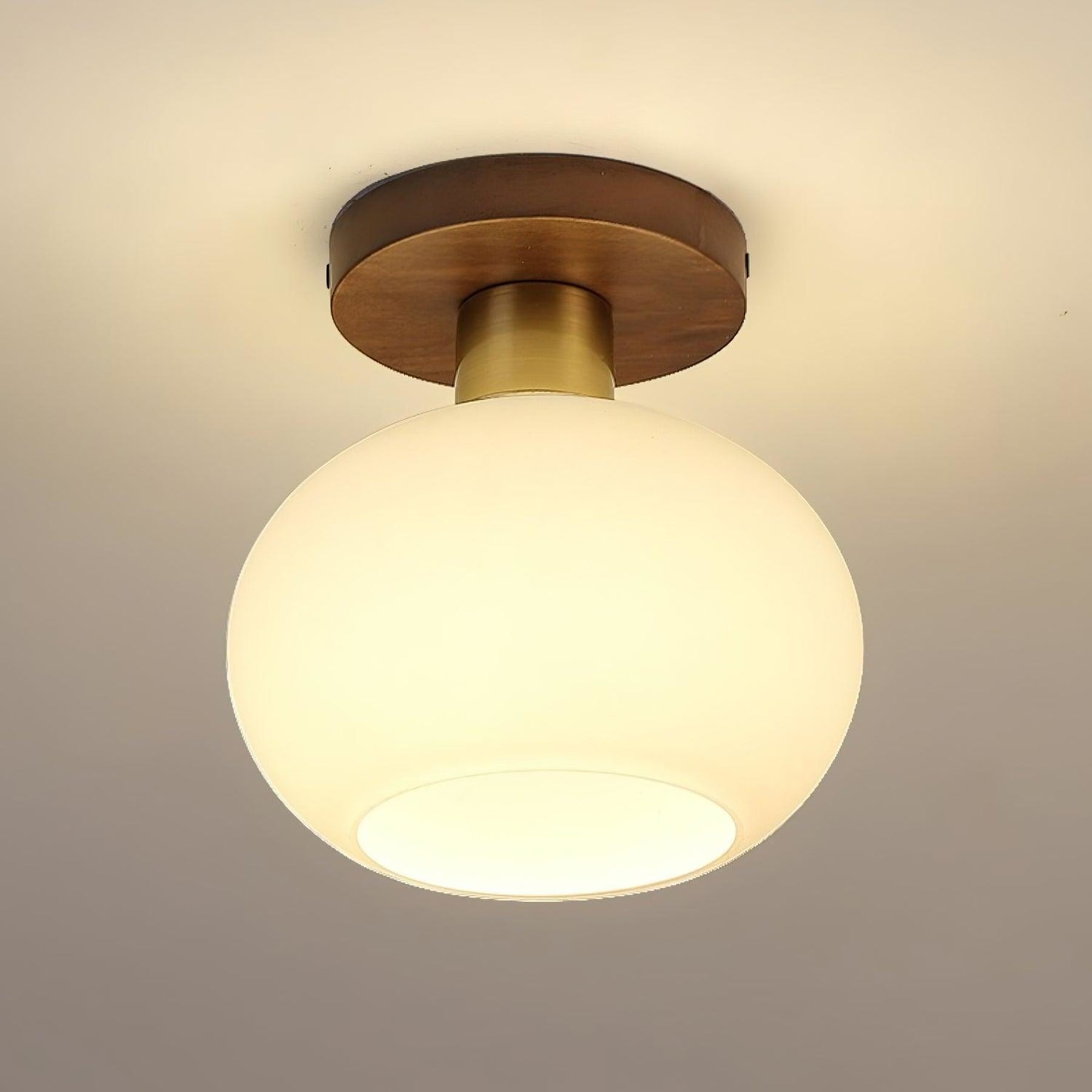 Modern Solid Wood and Iron Semi-Flush Ceiling Light | Frosted Glass Shade for Living Room 0