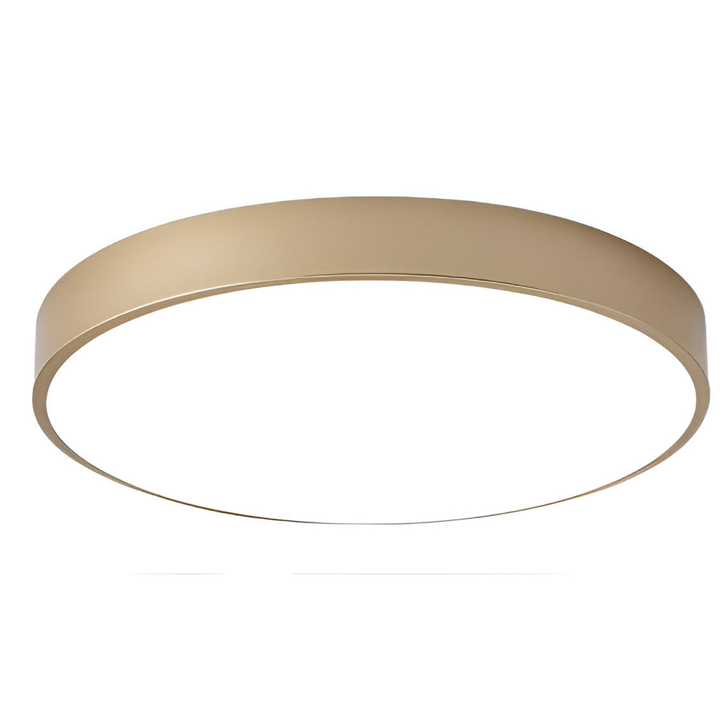 Modern White Iron LED Flush Mount Ceiling Light | Low-Profile Round Fixture for Living Room 1
